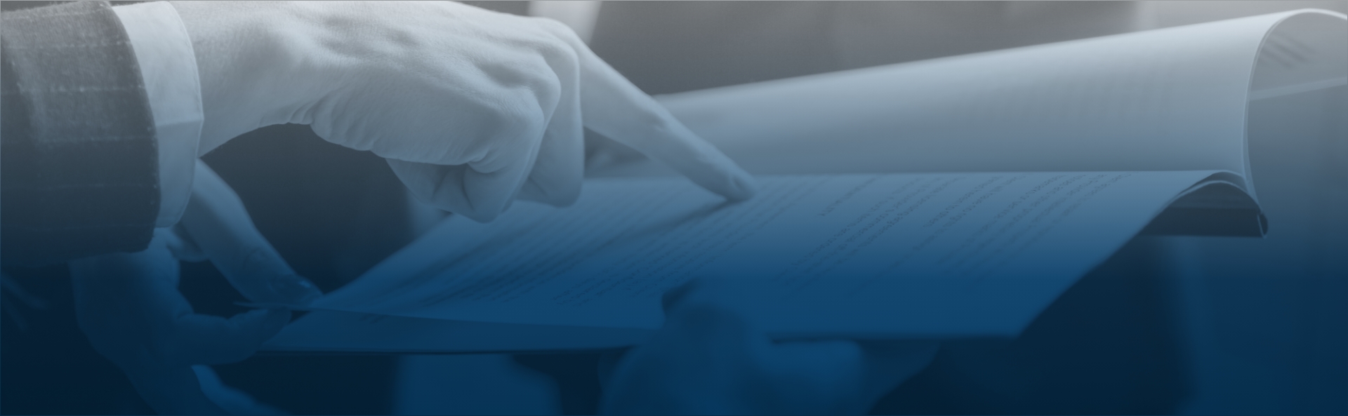 19_programas_de_investigacioun_de_mercado