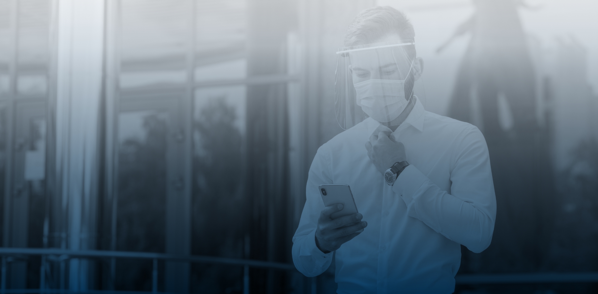 Servicios de representante de empresa y Titular de Registro Sanitario en México