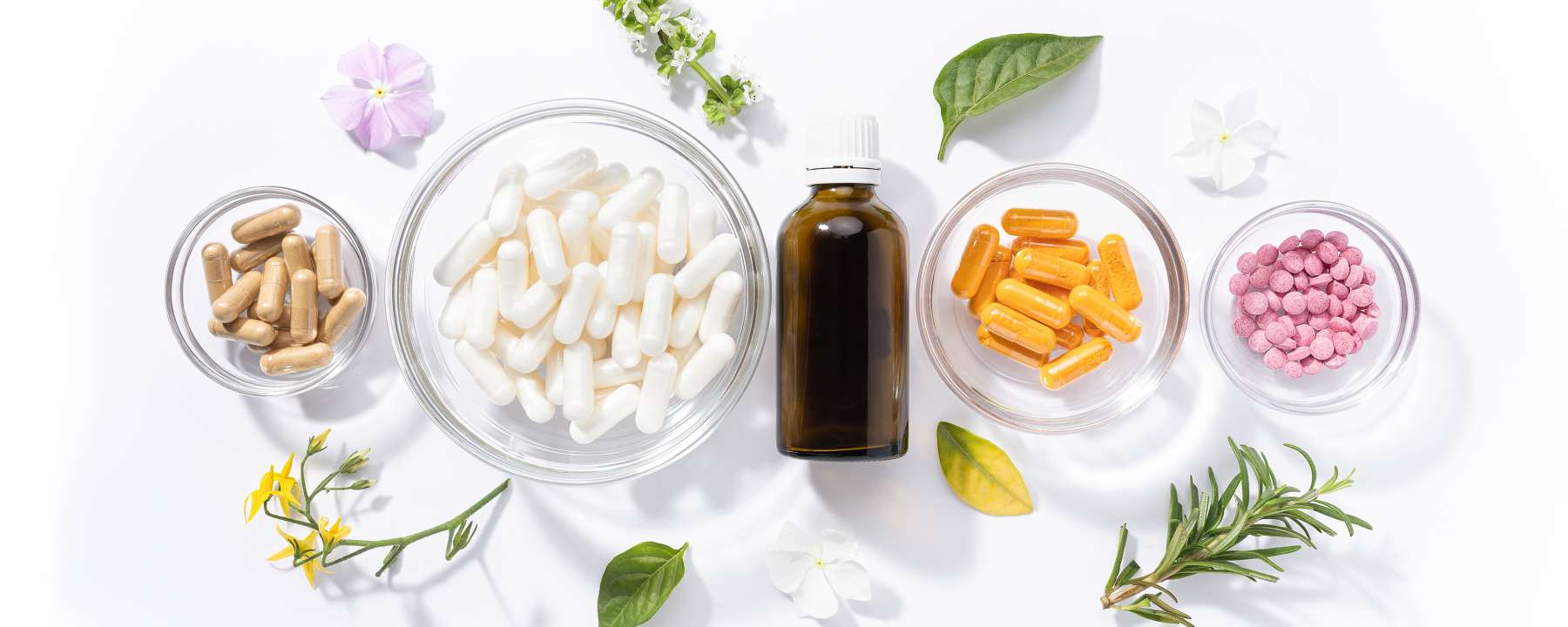 Interacciones entre plantas medicinales y medicamentos