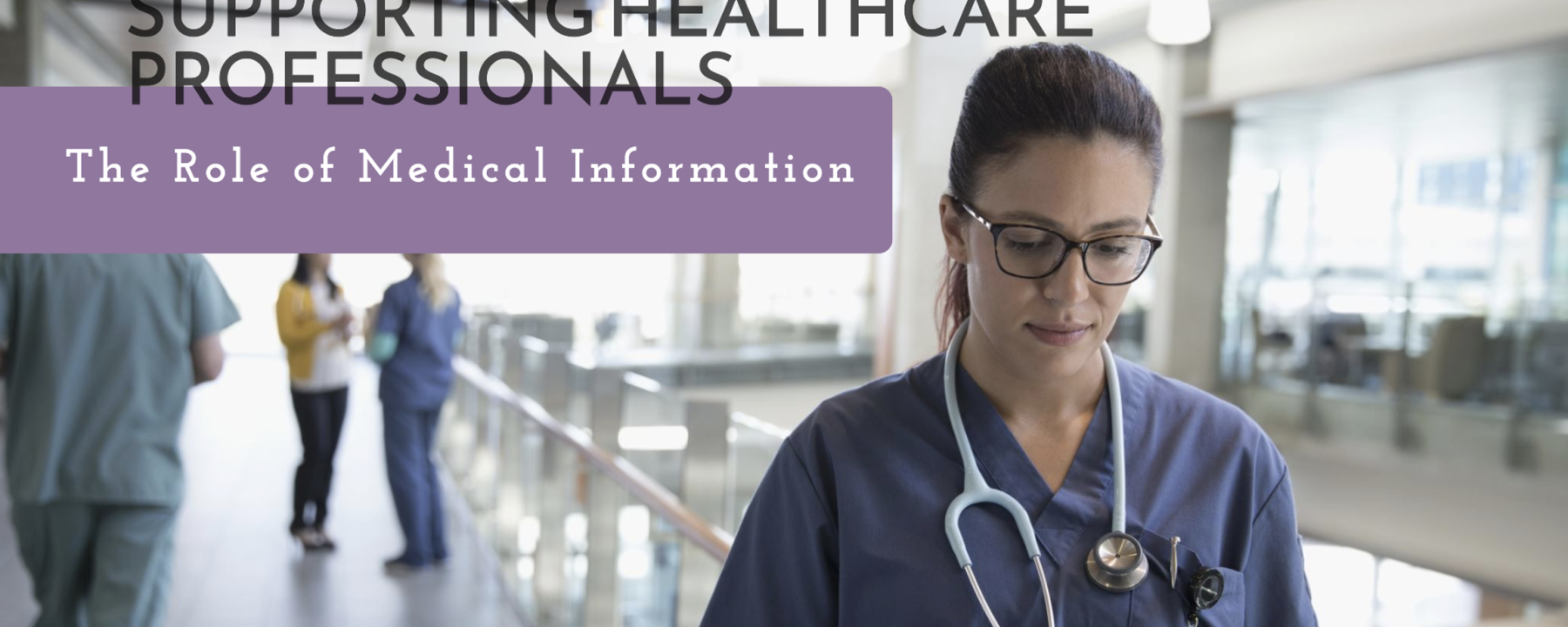The Role of Medical Information in Supporting Healthcare Professionals