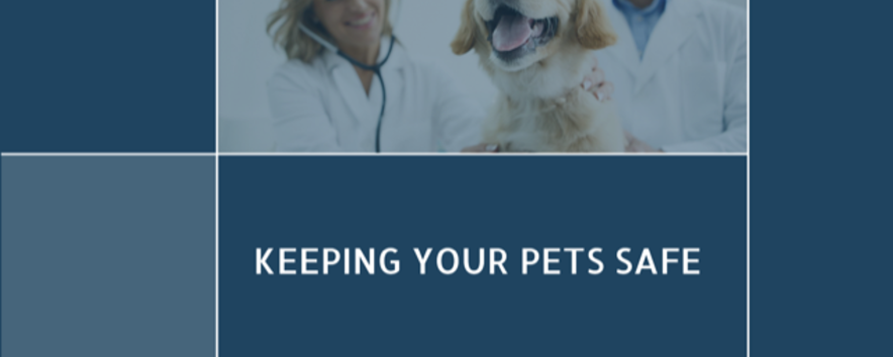 Post-Marketing Surveillance in Veterinary Products: Ensuring Safety and Efficacy 