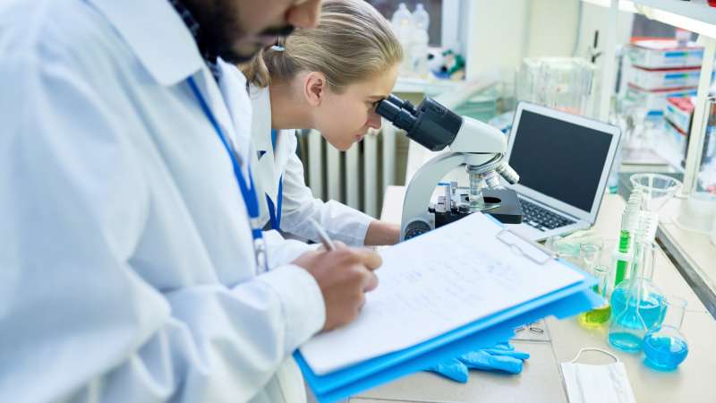 El Sistema de Gestión de Calidad y la Norma ISO 9001 (parte II)